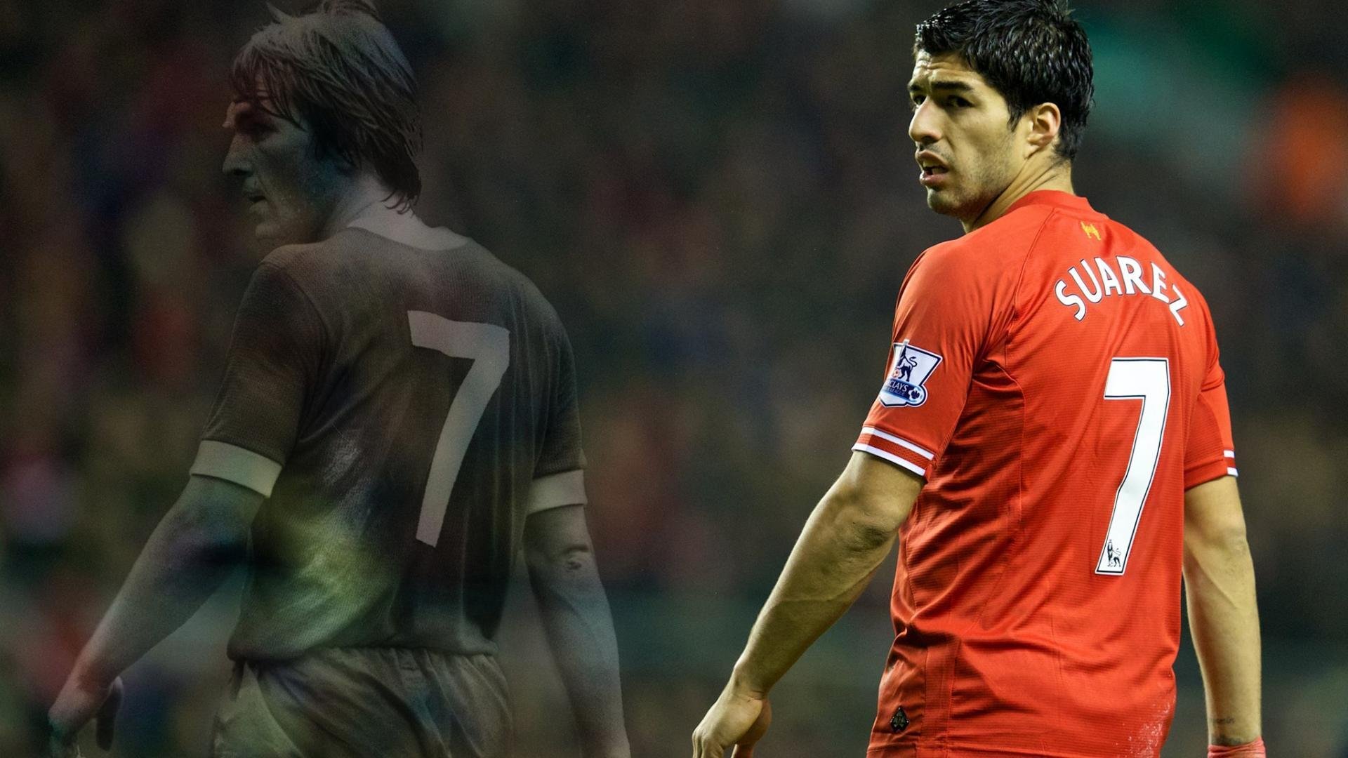 中国篮球联赛观众消费行为特征分析研究，篮球用户群体分析